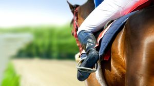 Racehorse tests positive for meth